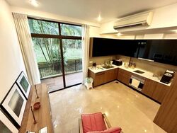Holland Link (D10), Terrace #497124031